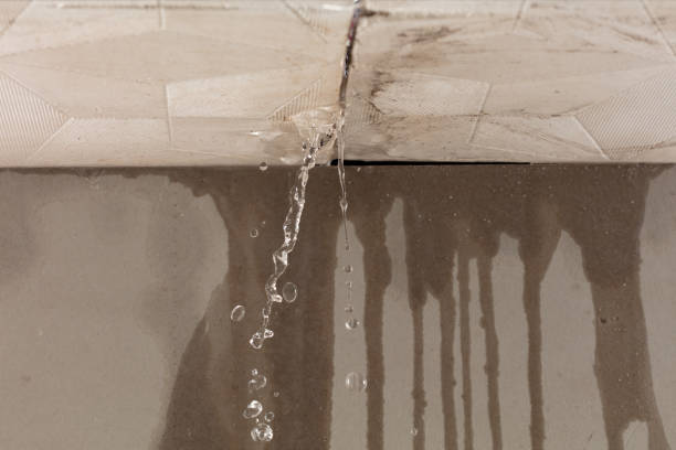 Professional Water Damage Inspection technician working in Driftwood, TX